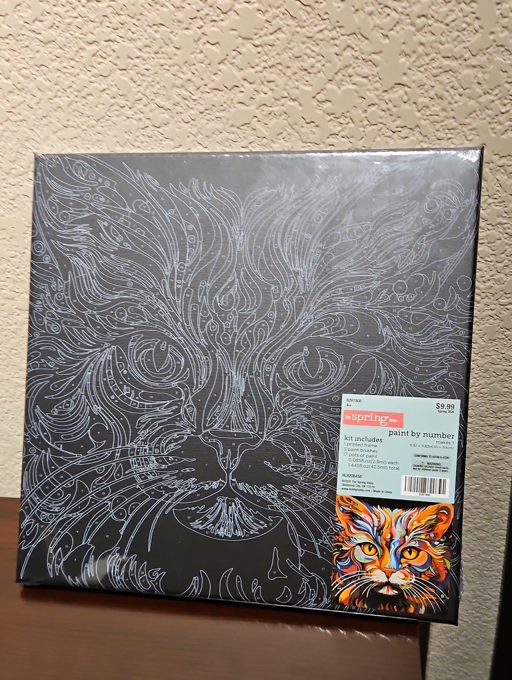 Paint By Numbers - Cat